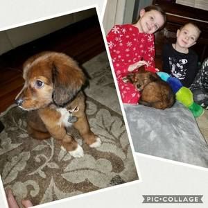 Meet your Posher, Laura